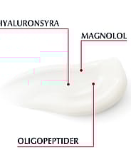 Miniatyrbild 5