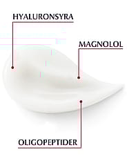 Miniatyrbild 5