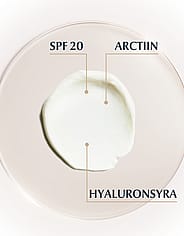 Miniatyrbild 5