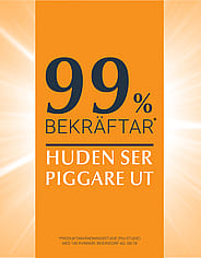 Miniatyrbild 5