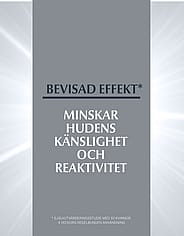 Miniatyrbild 5