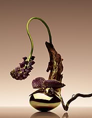 Miniatyrbild 5