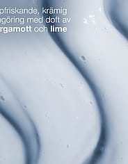 Miniatyrbild 3