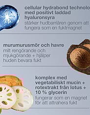 Miniatyrbild 5
