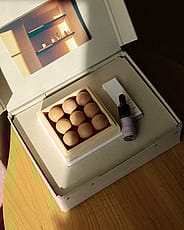 Miniatyrbilde 5