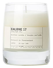 Pieni kuva 1