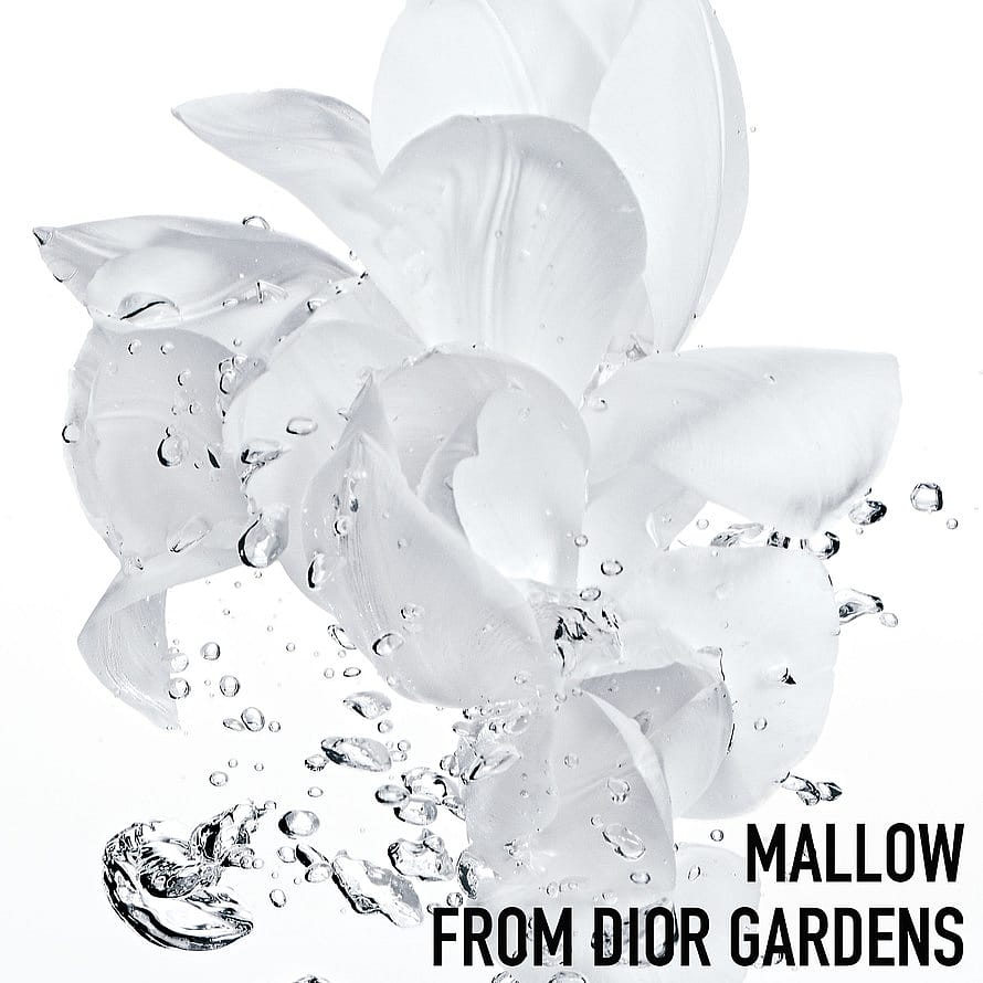 Hydra Life Fresh Sorbet Creme