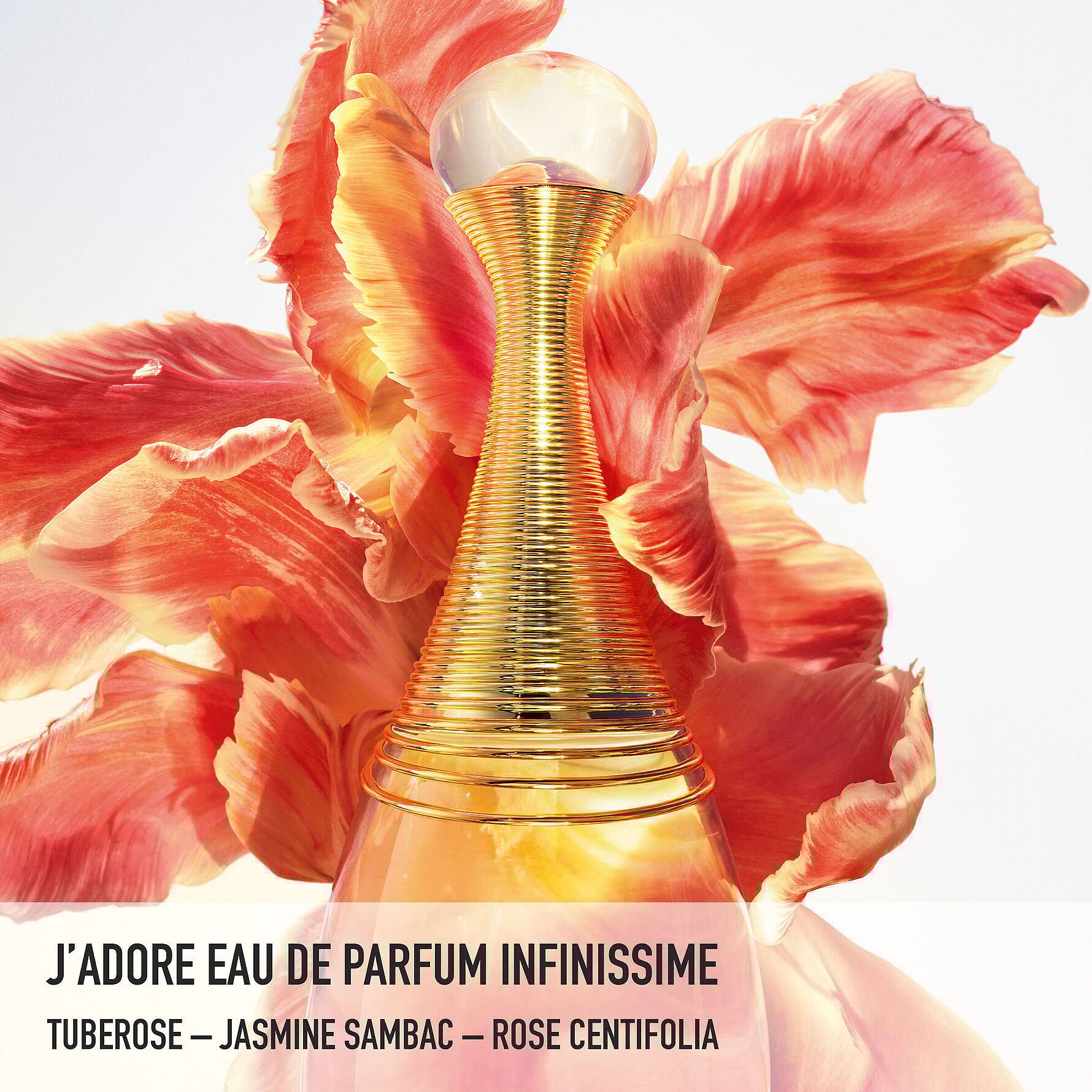 J'adore EdP Infinissime