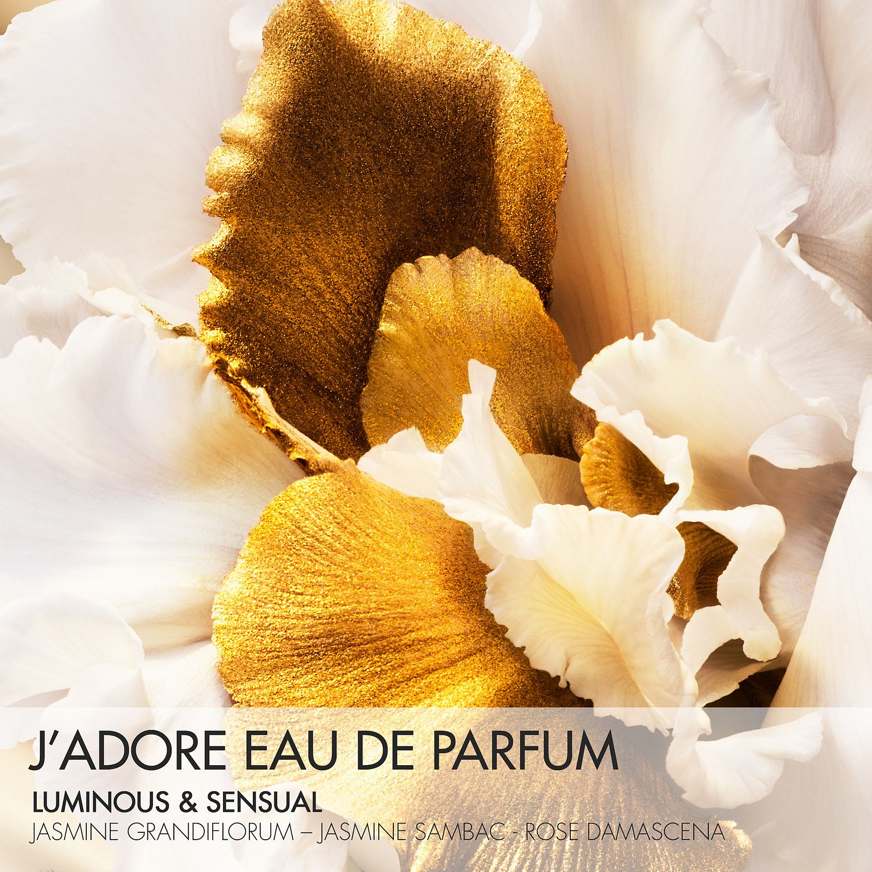 J'adore EdP