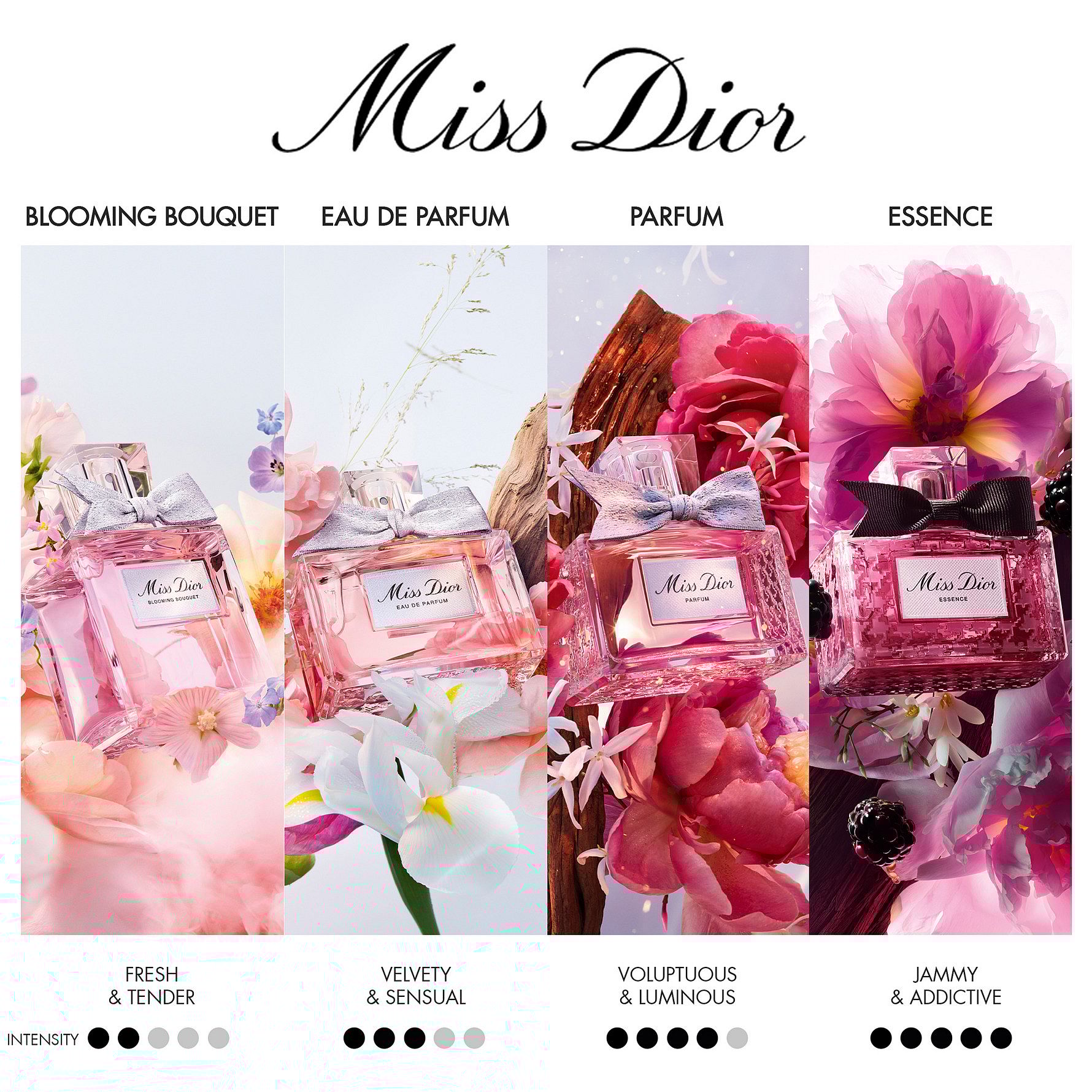 Miss Dior EdP 50 ml Gift Box
