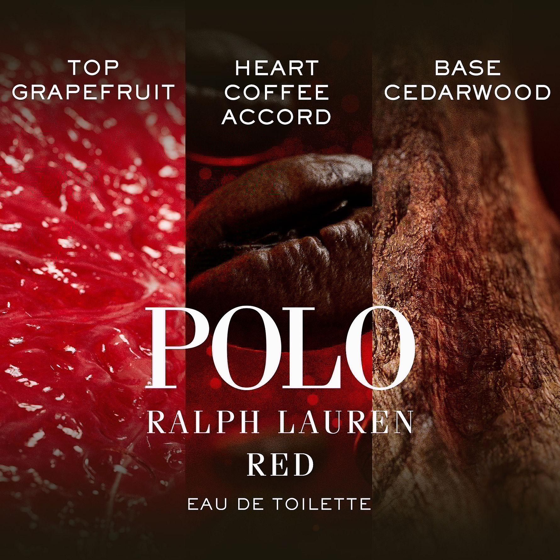 Polo Red EdT