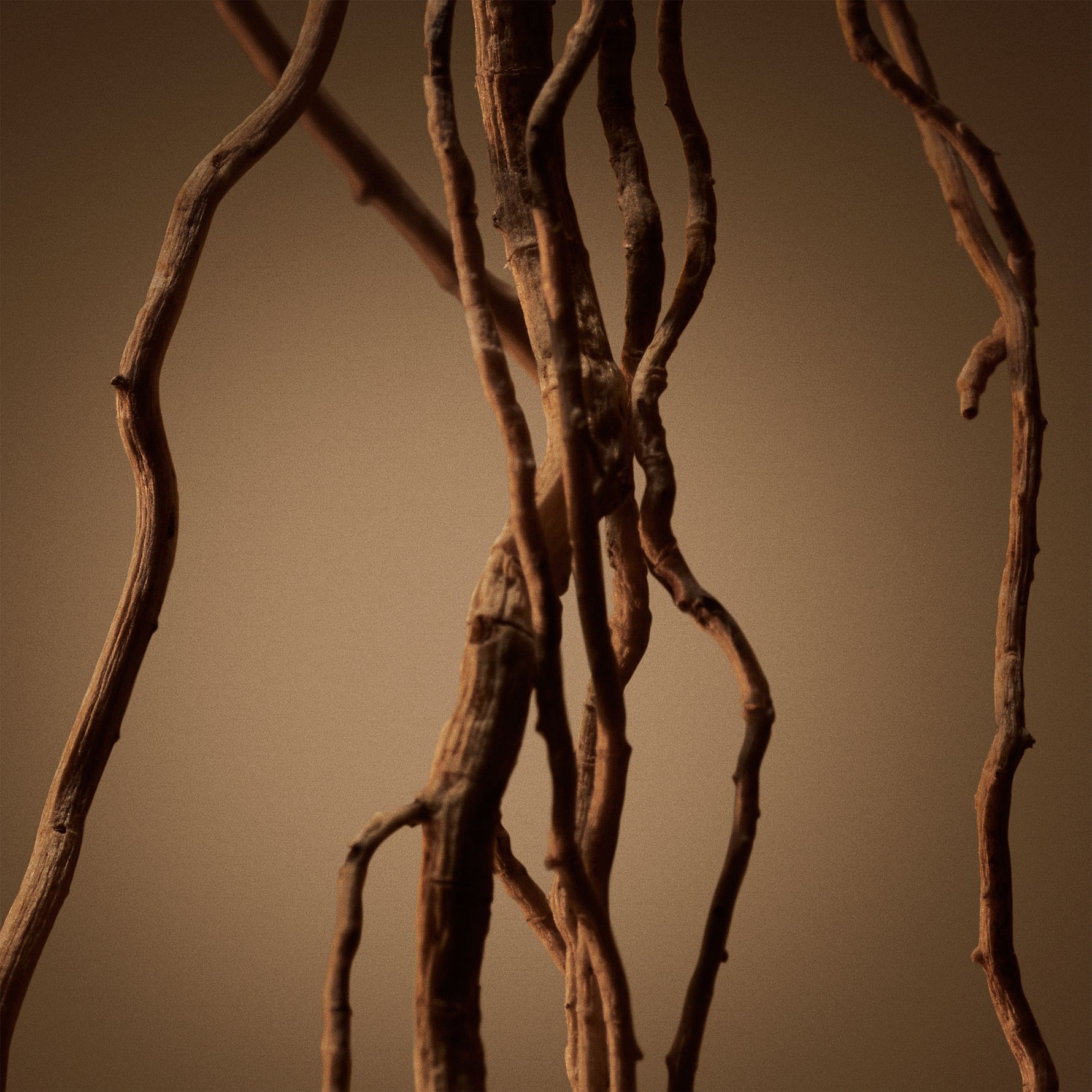 Hugo Boss Bottled Eau de Parfum