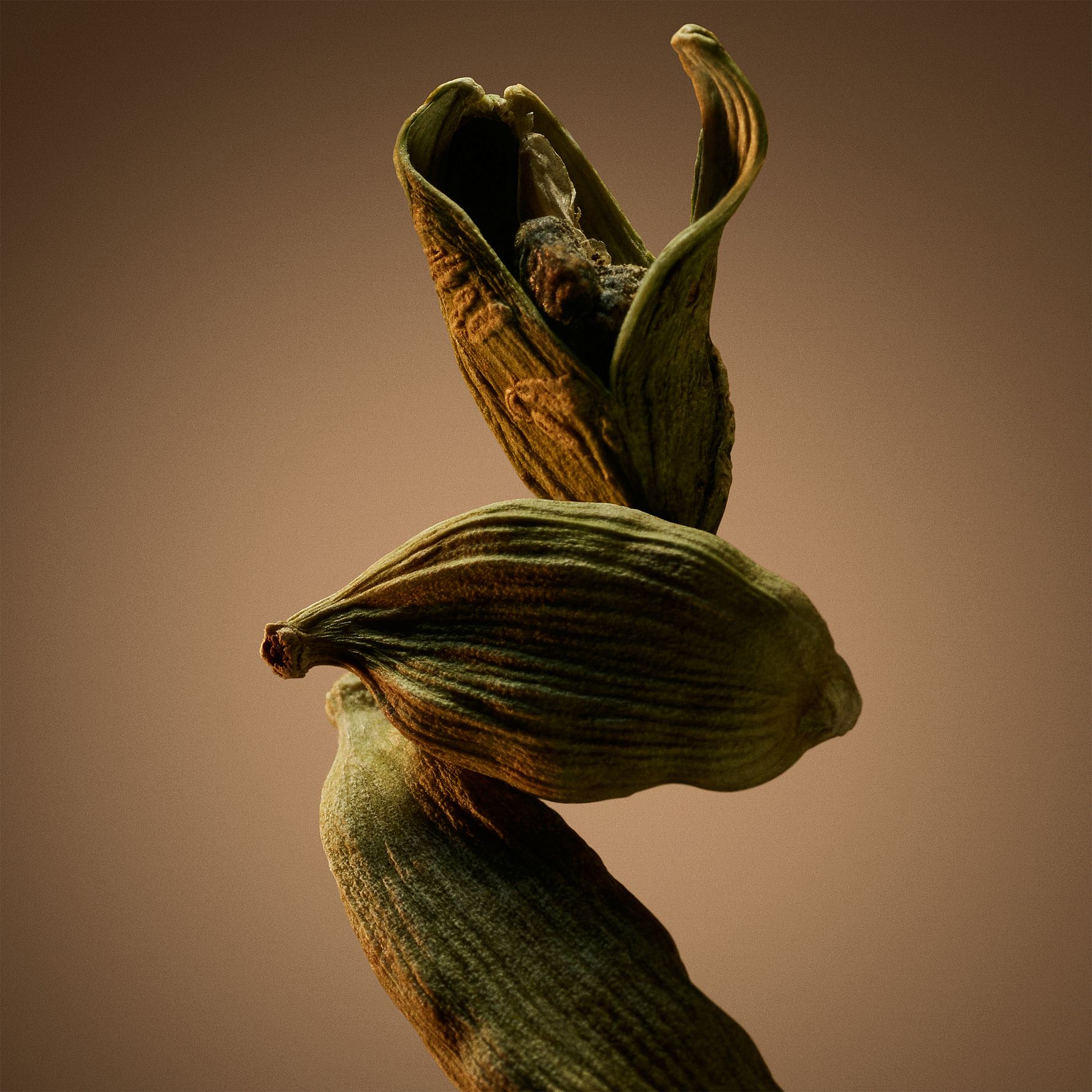 Hugo Boss Bottled Eau de Parfum