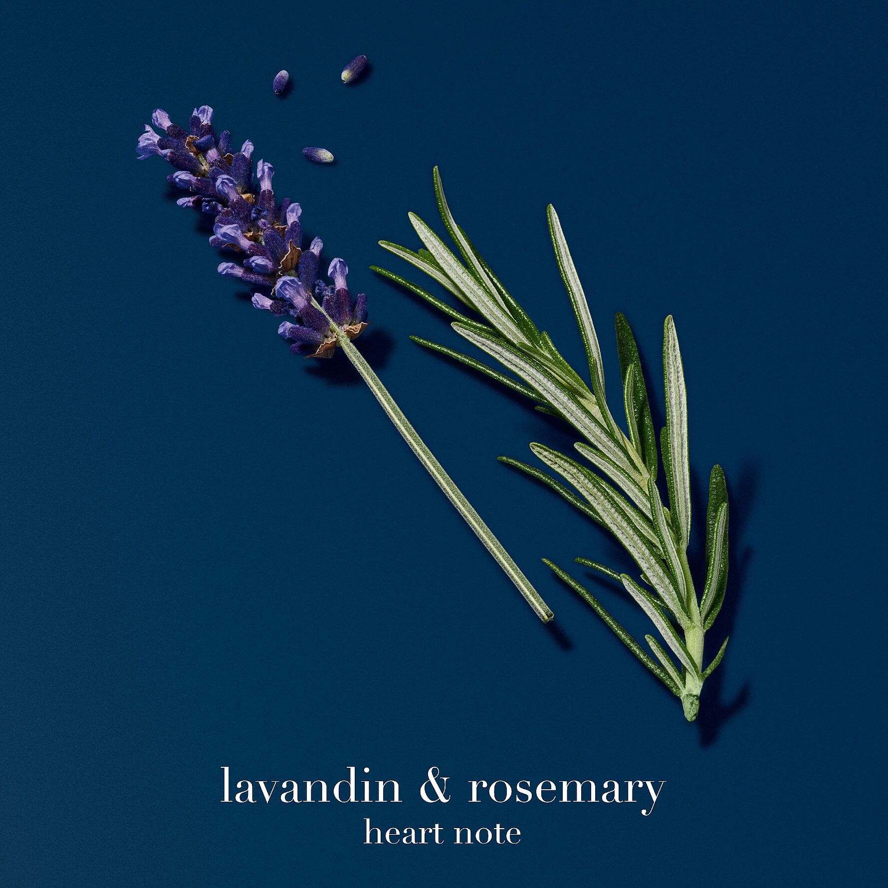 Acqua Di Gìo Profondo EdP