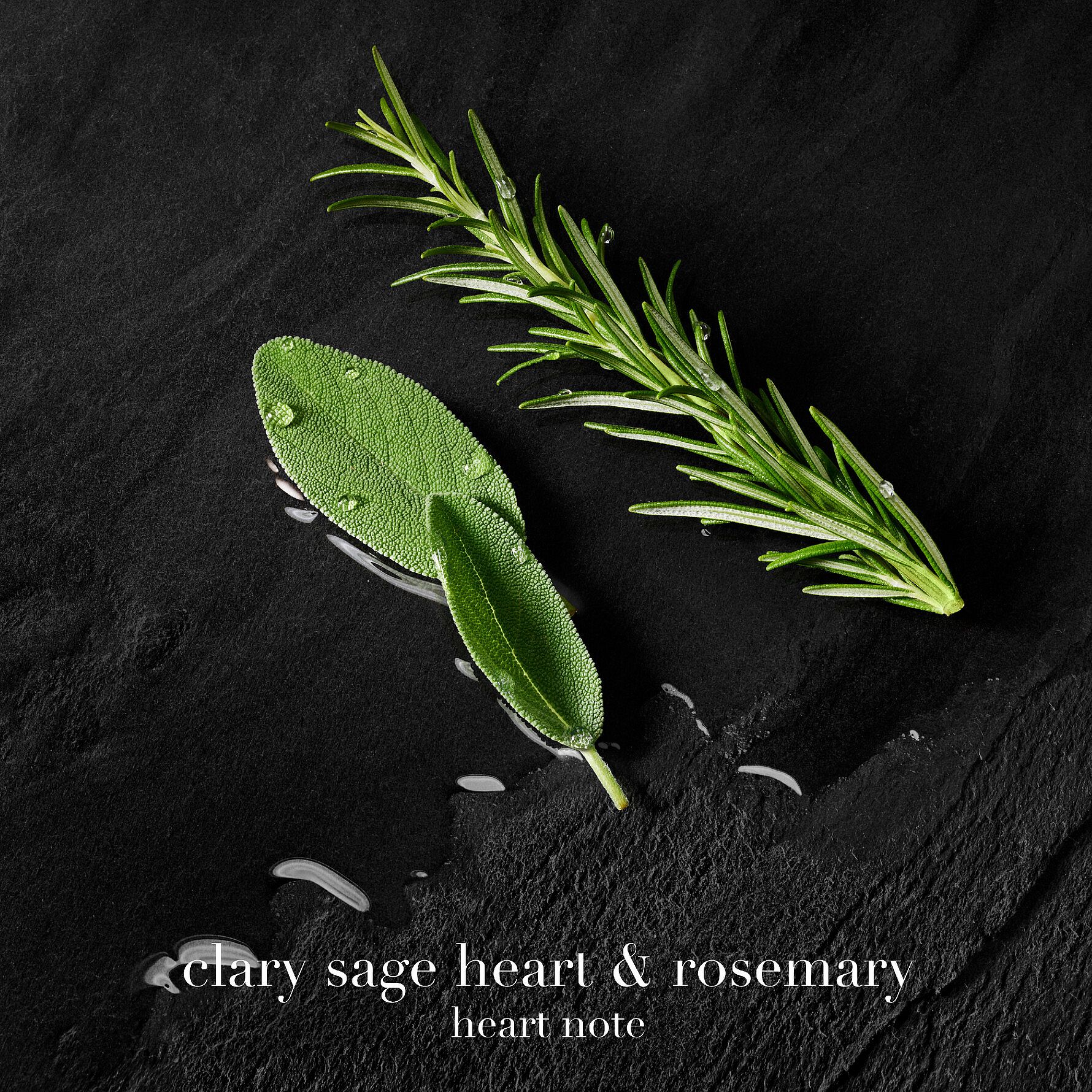 Acqua Di Giò Parfum