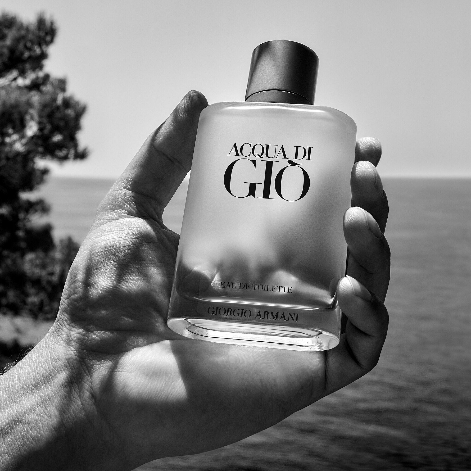 Acqua Di Giò EdT