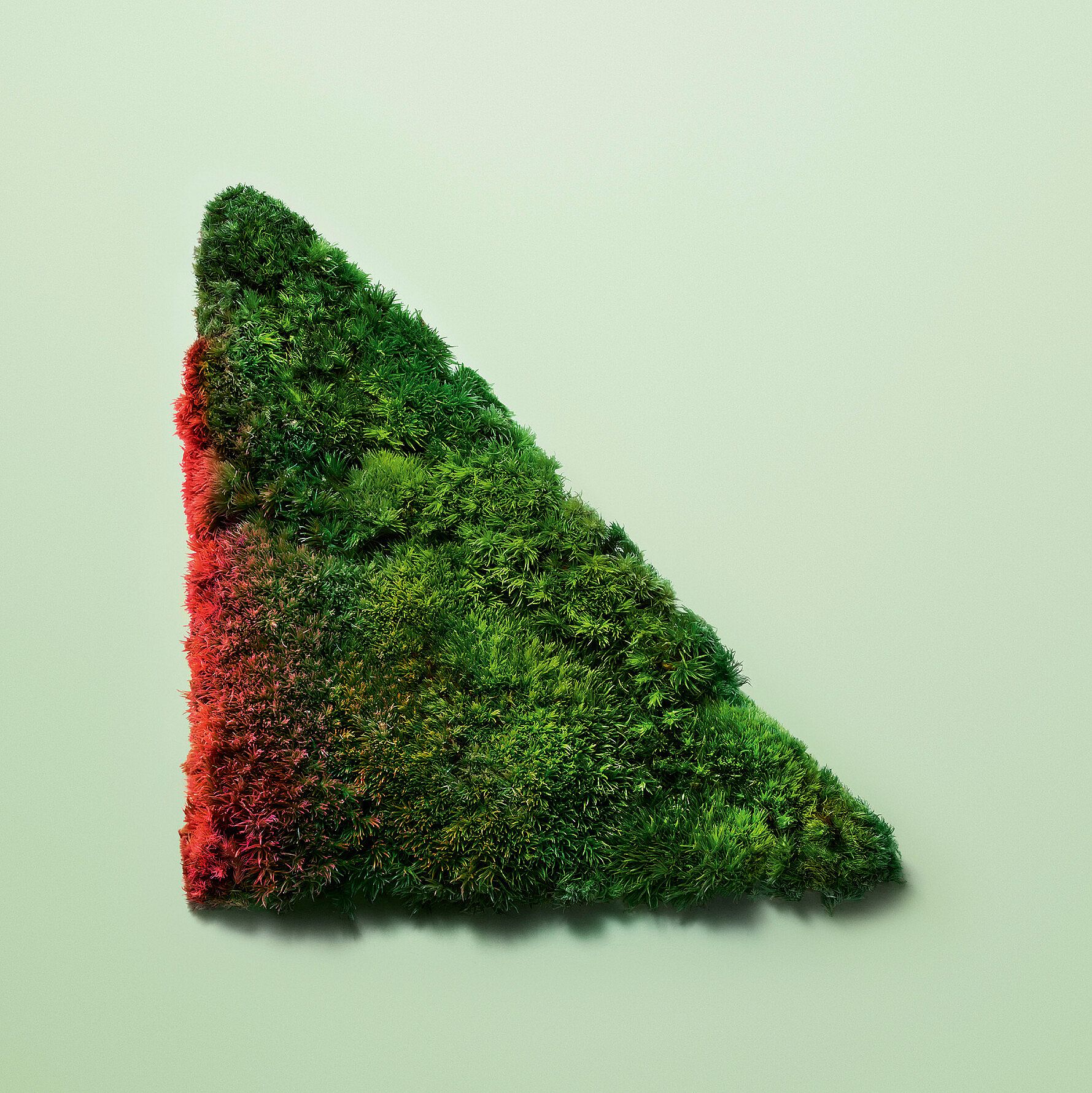 Paradoxe Intense EdP