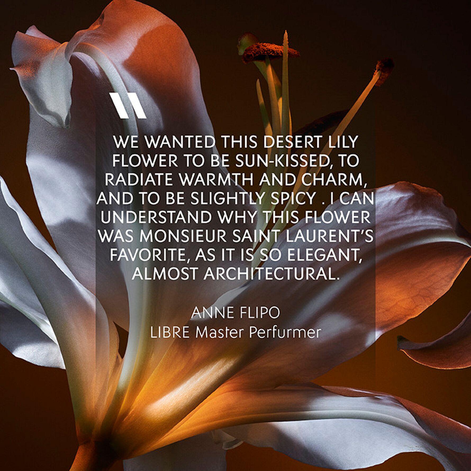 Libre Flowers & Flames EdP