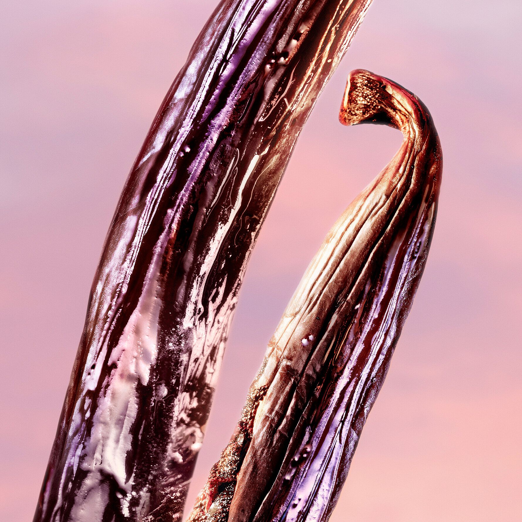 La Vie Est Belle Vanille Nude EdP