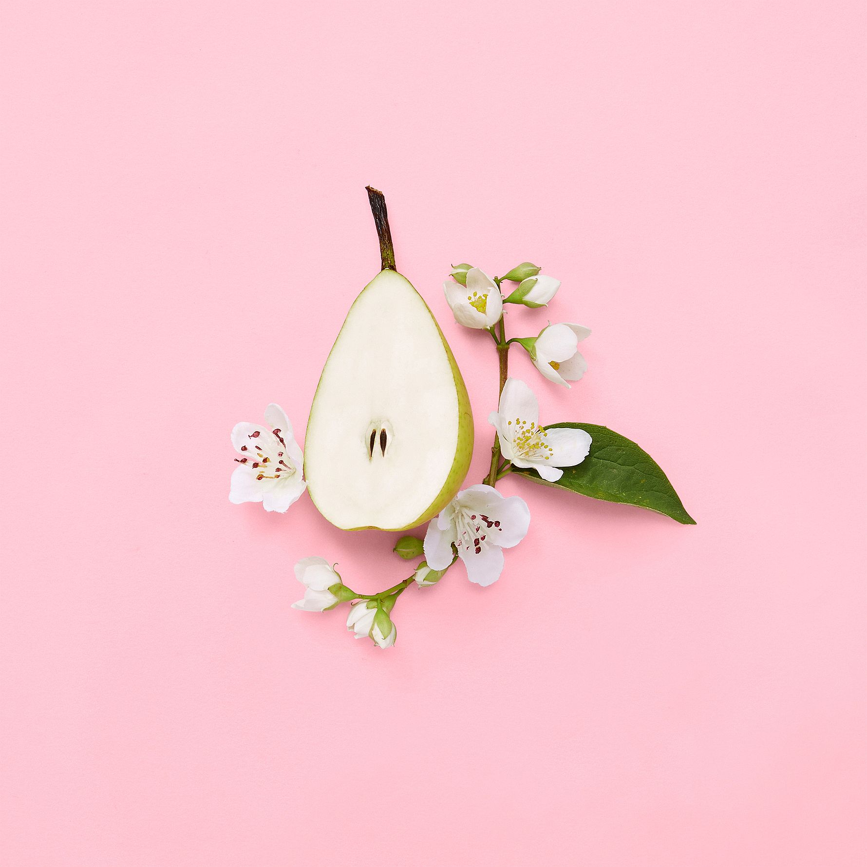 Flora Gorgeous Gardenia EdP