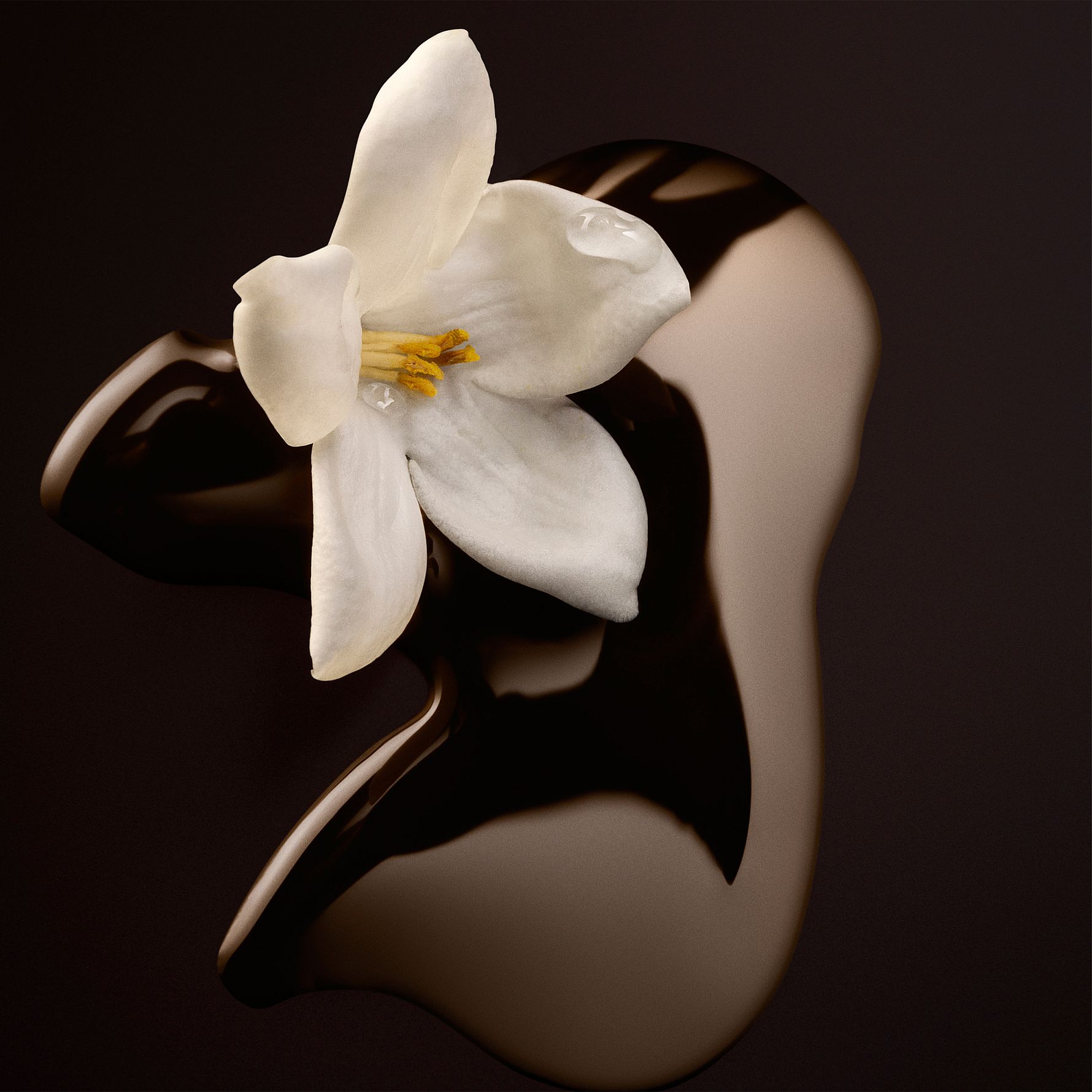 Hugo Boss The Scent For Her Magnetic Eau de Parfum