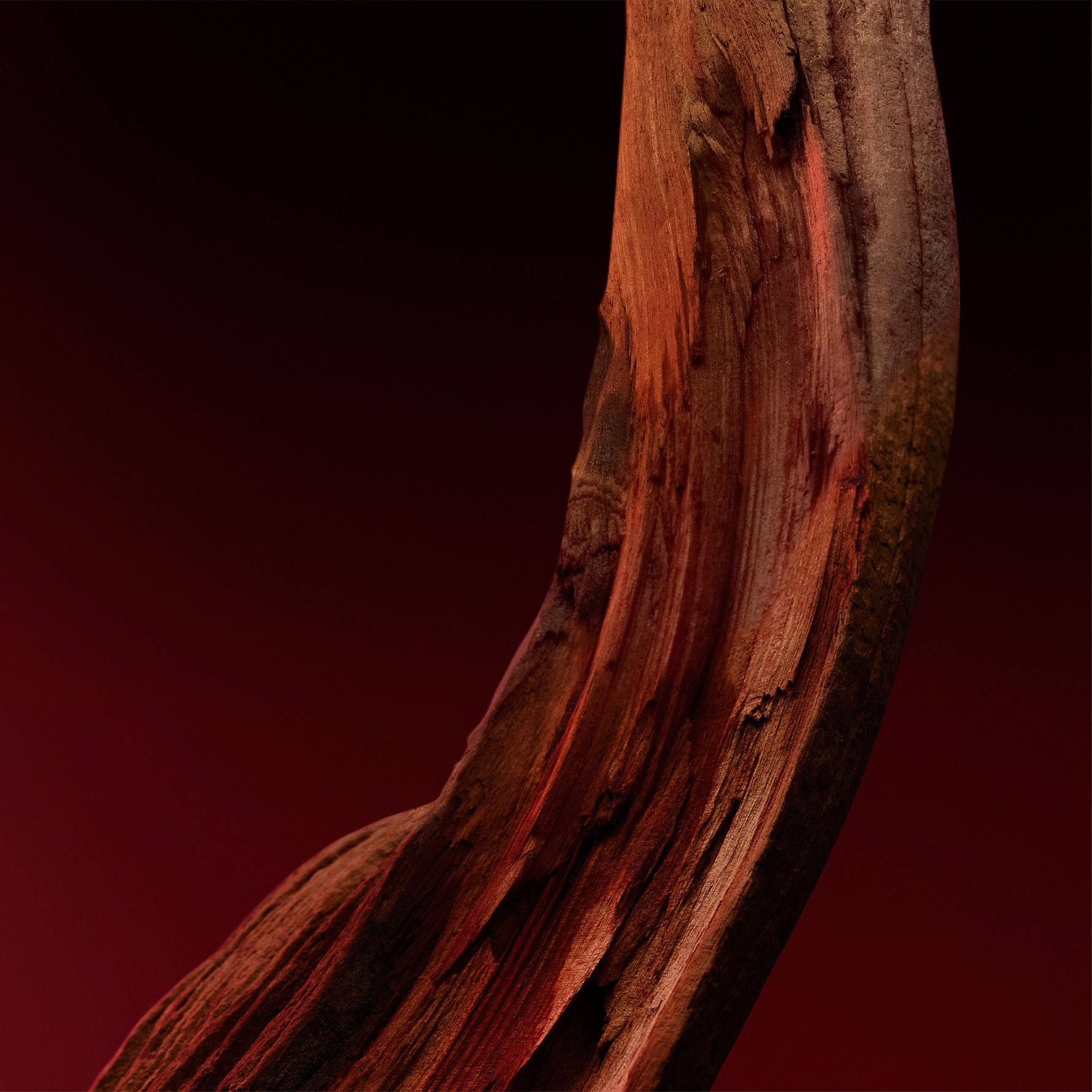 Hugo Boss The Scent For Him Elixir Parfum Intense