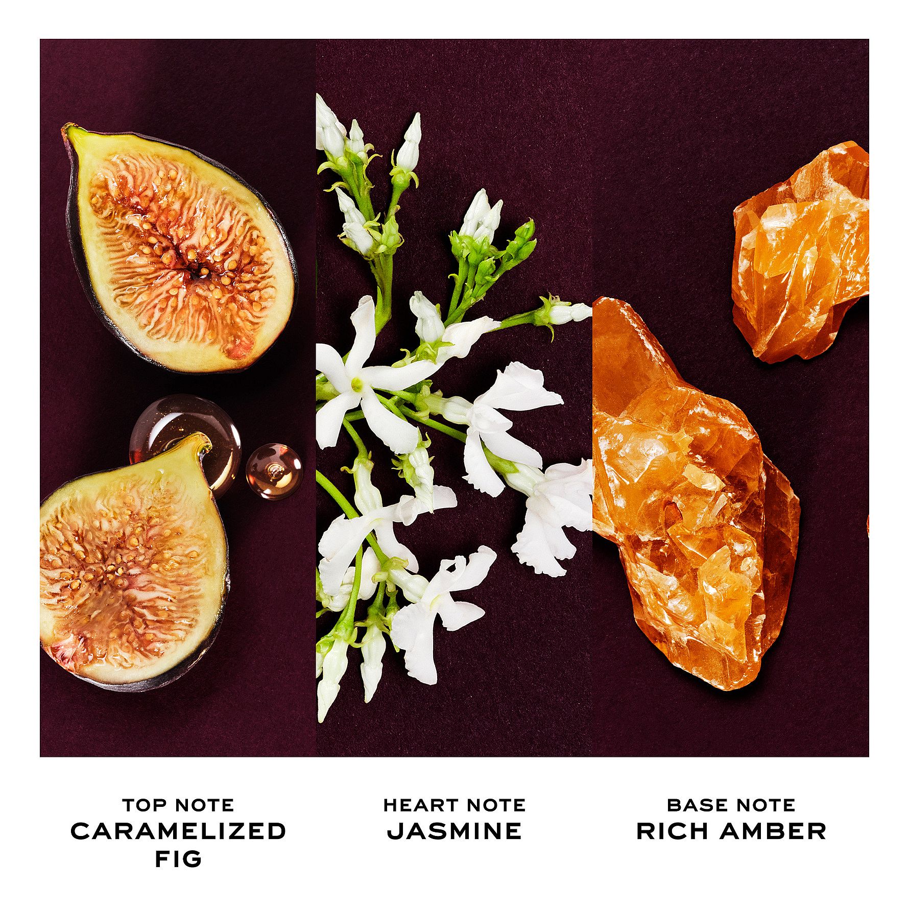 Perfect Absolute EdP