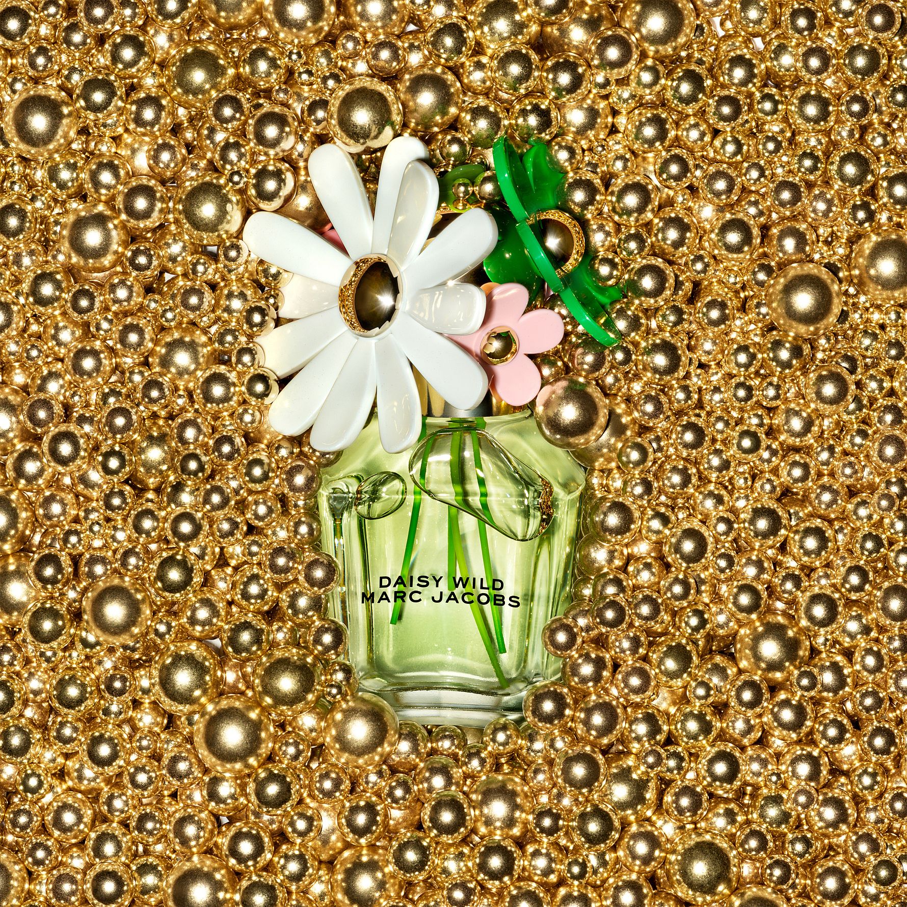 Daisy Wild EdP 30 ml Gift Box