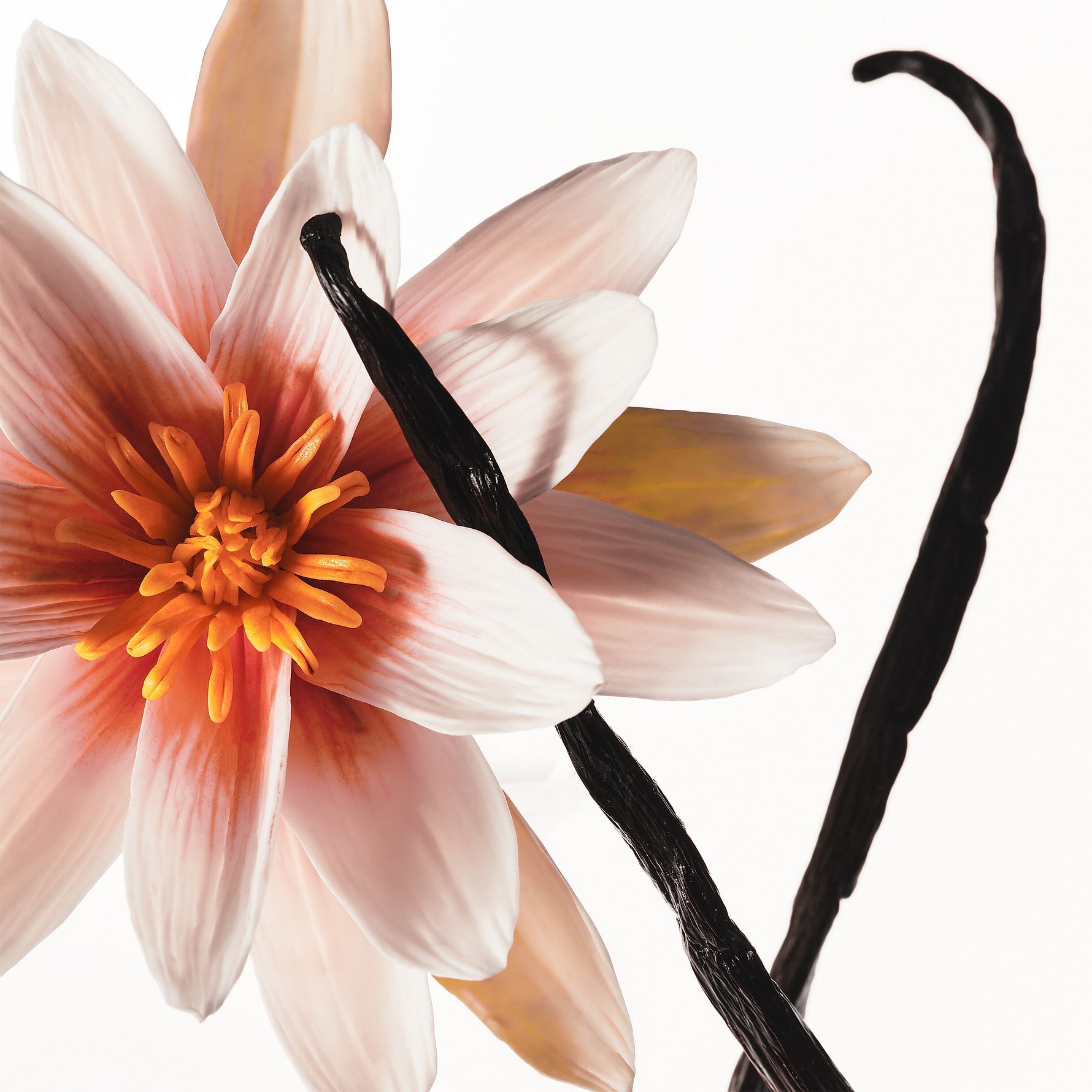 Hair & Body Mist Vanilla Dew