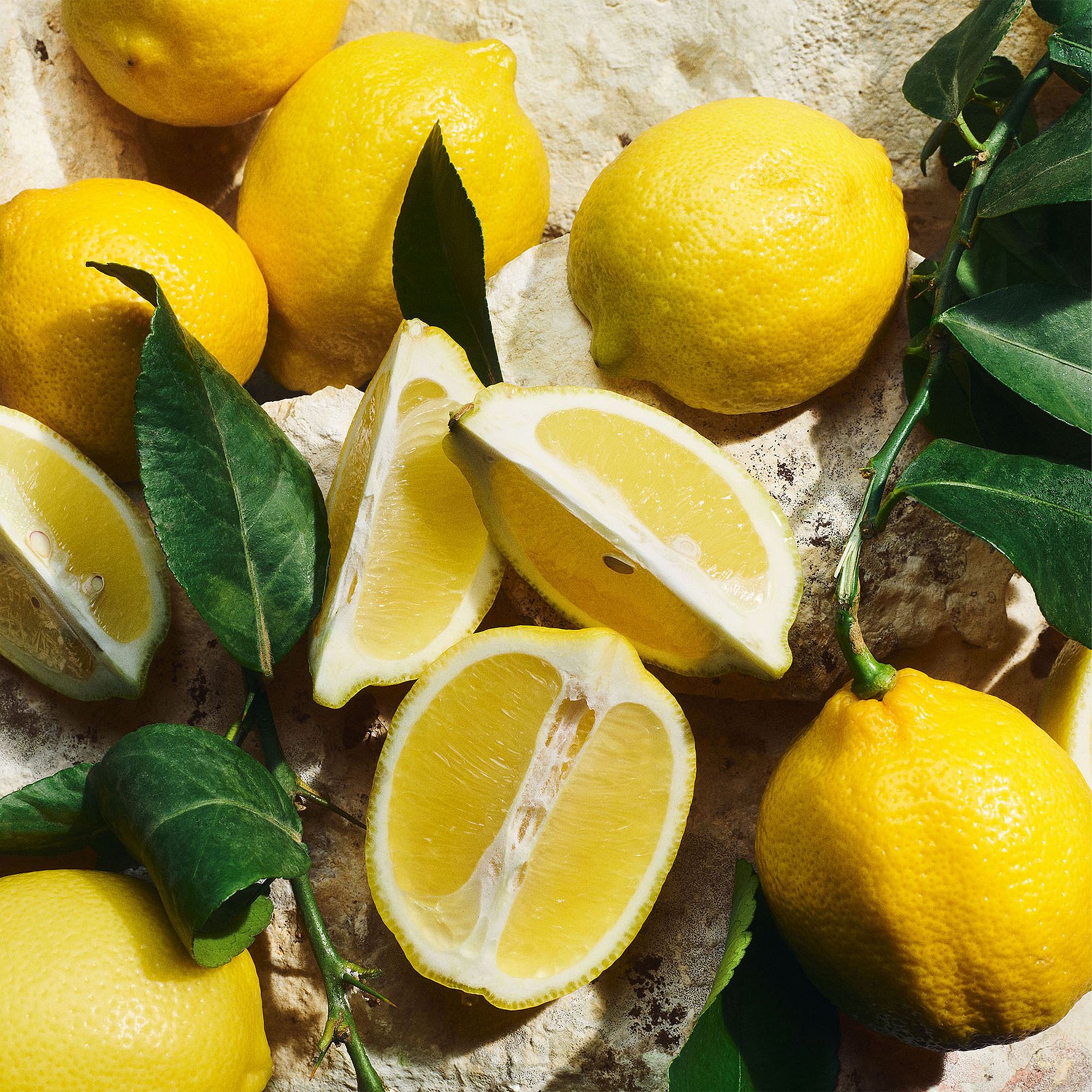 Light Blue Pour Homme EdT