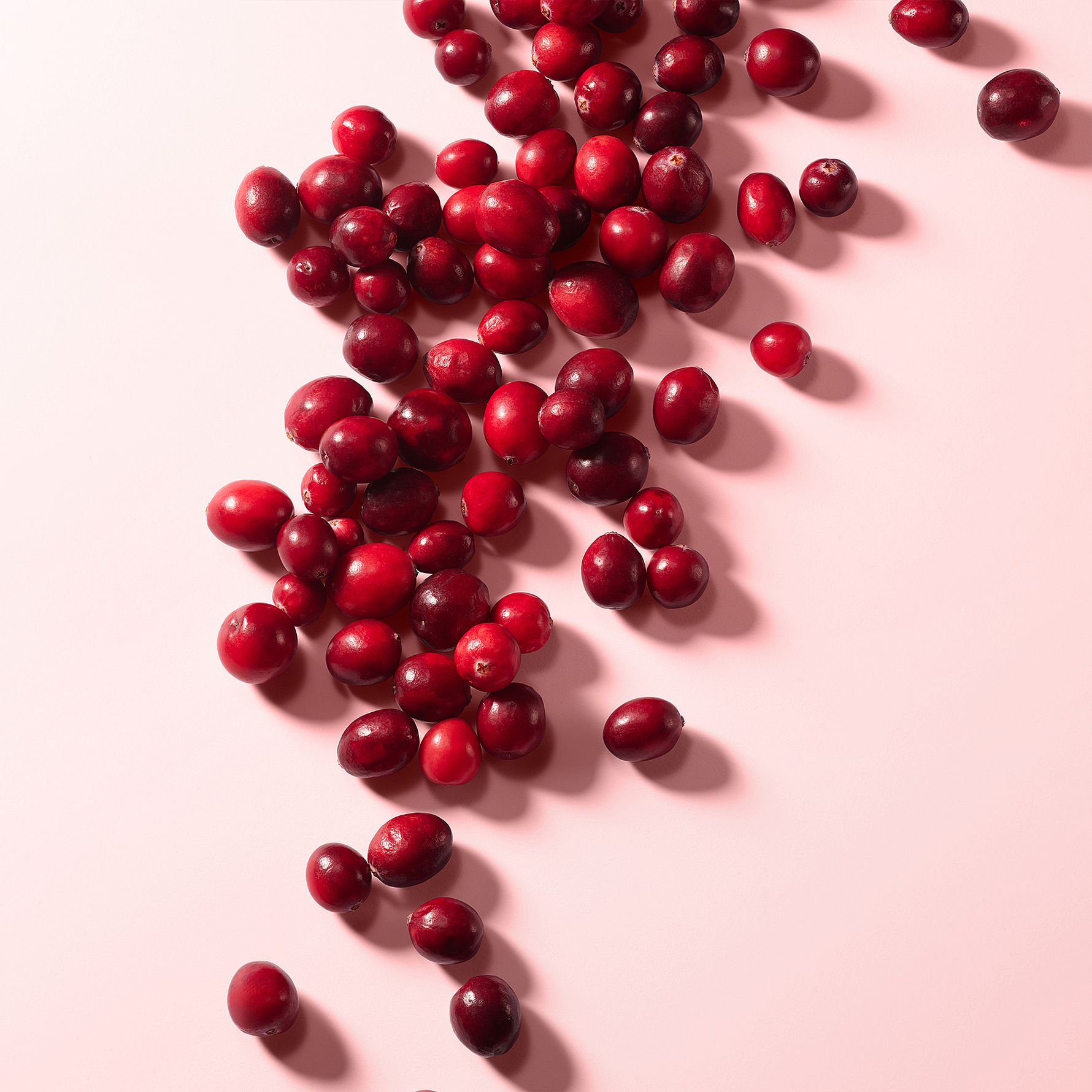 L'Imperatrice Royale EdT