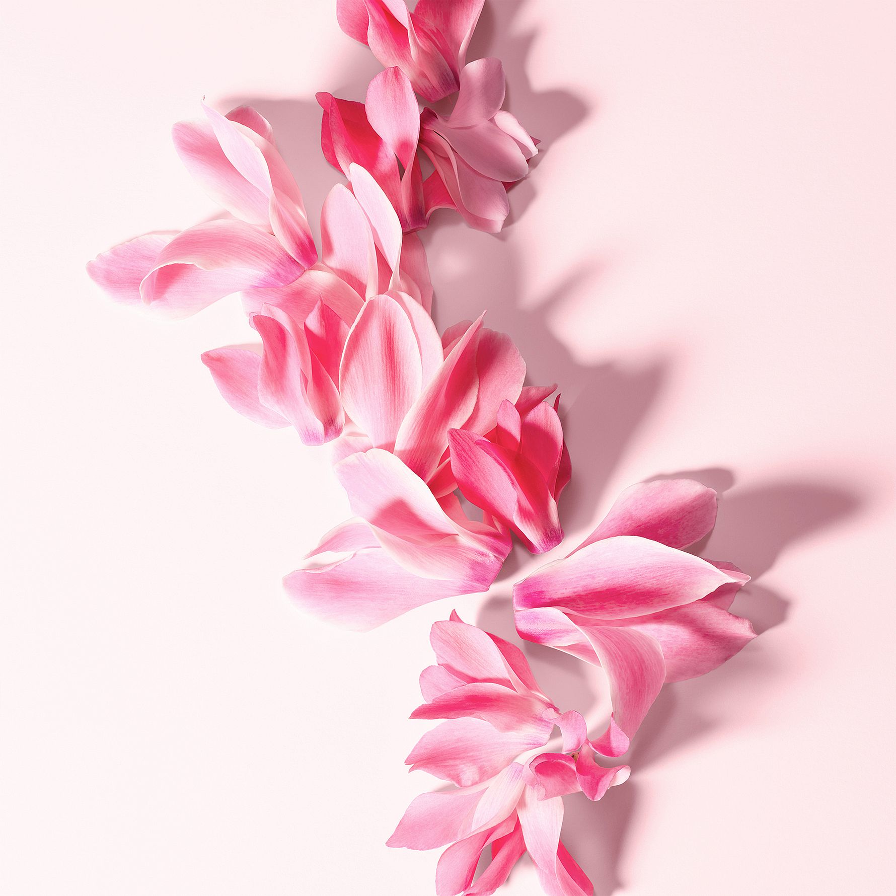 L'Imperatrice Royale EdT