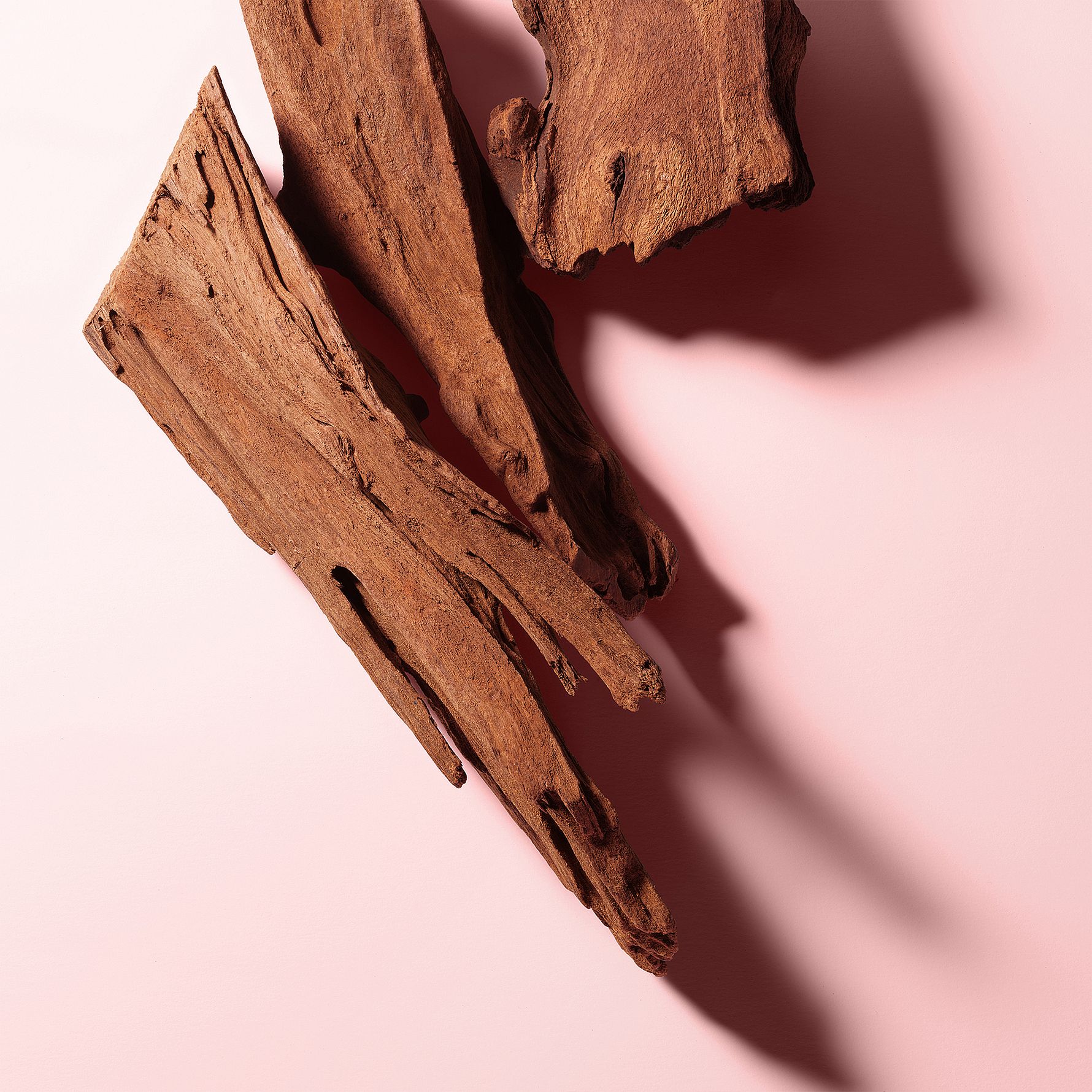 L'Imperatrice Royale EdT