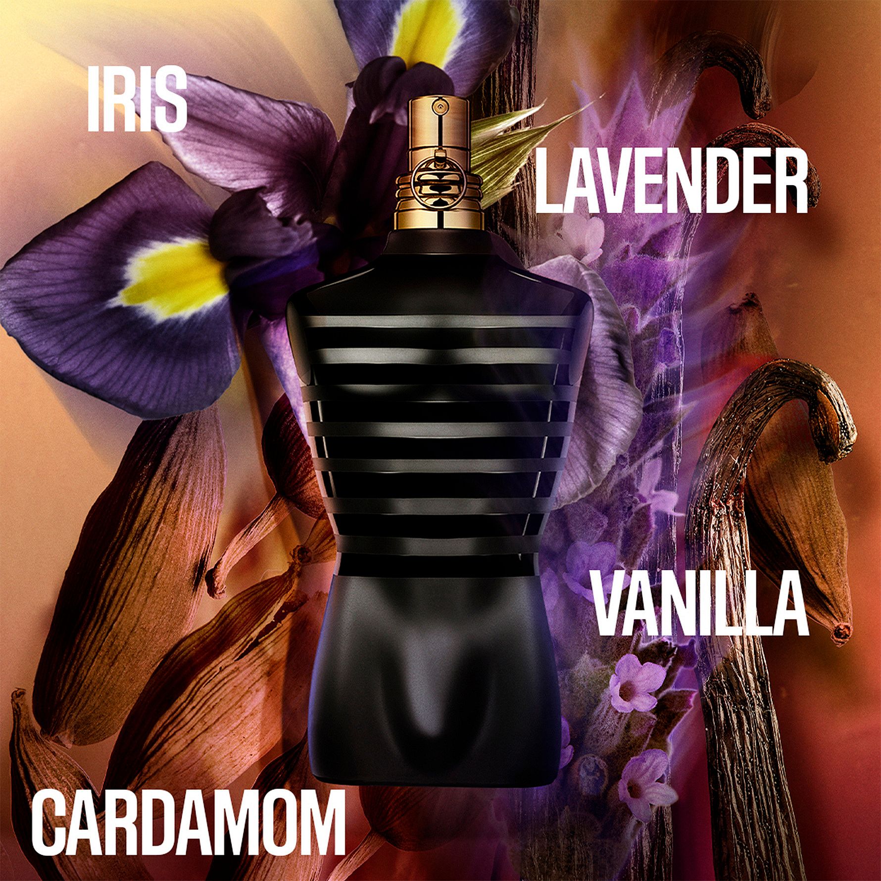 Le Male Le Parfum Intense