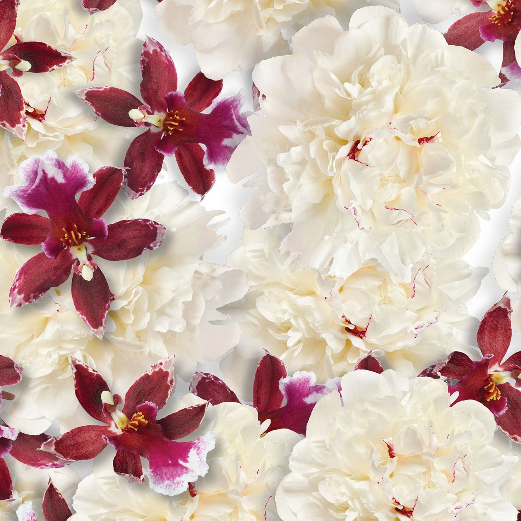 Fleurs De L'Himalaya EdP