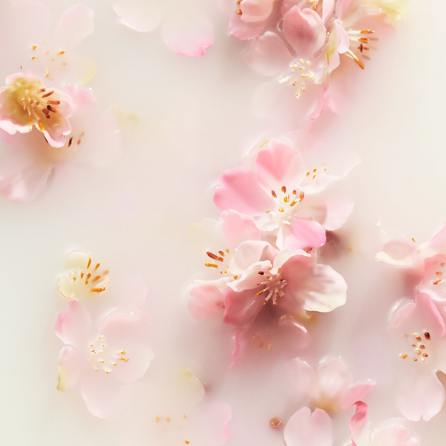 The Ritual of Sakura Car Air Freshener