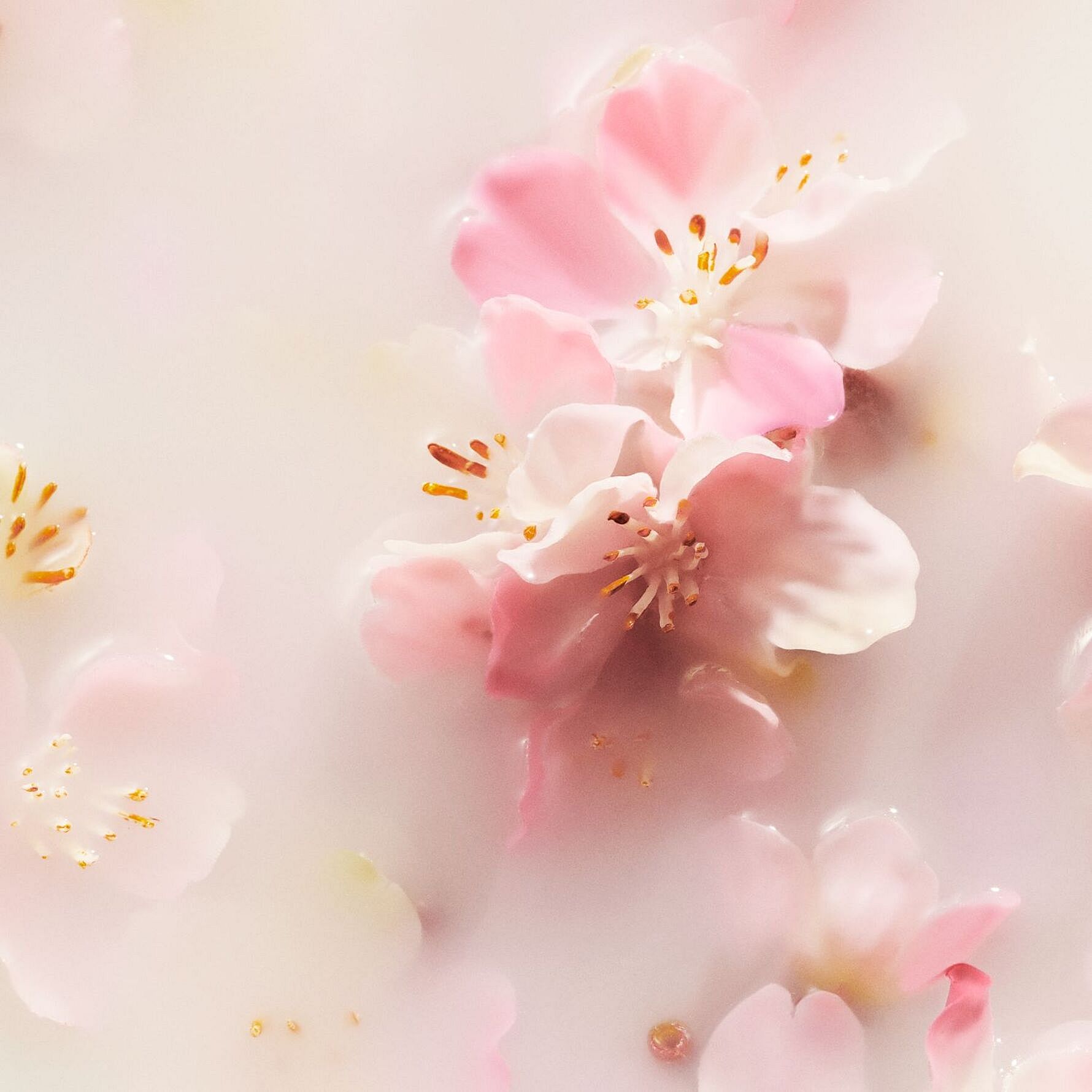 The Ritual of Sakura Car Air Freshener