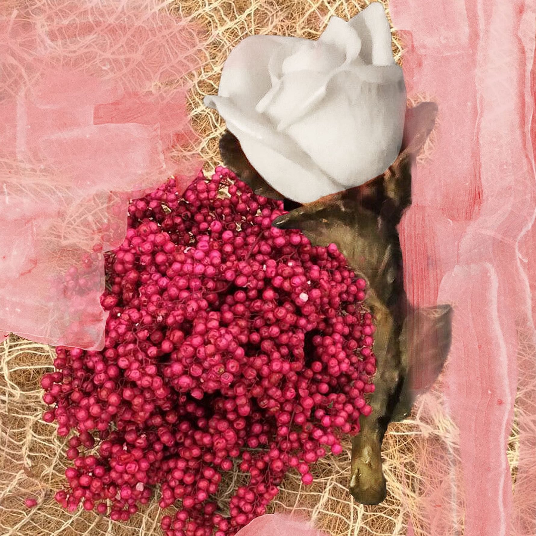 Rose Of No Man's Land EdP