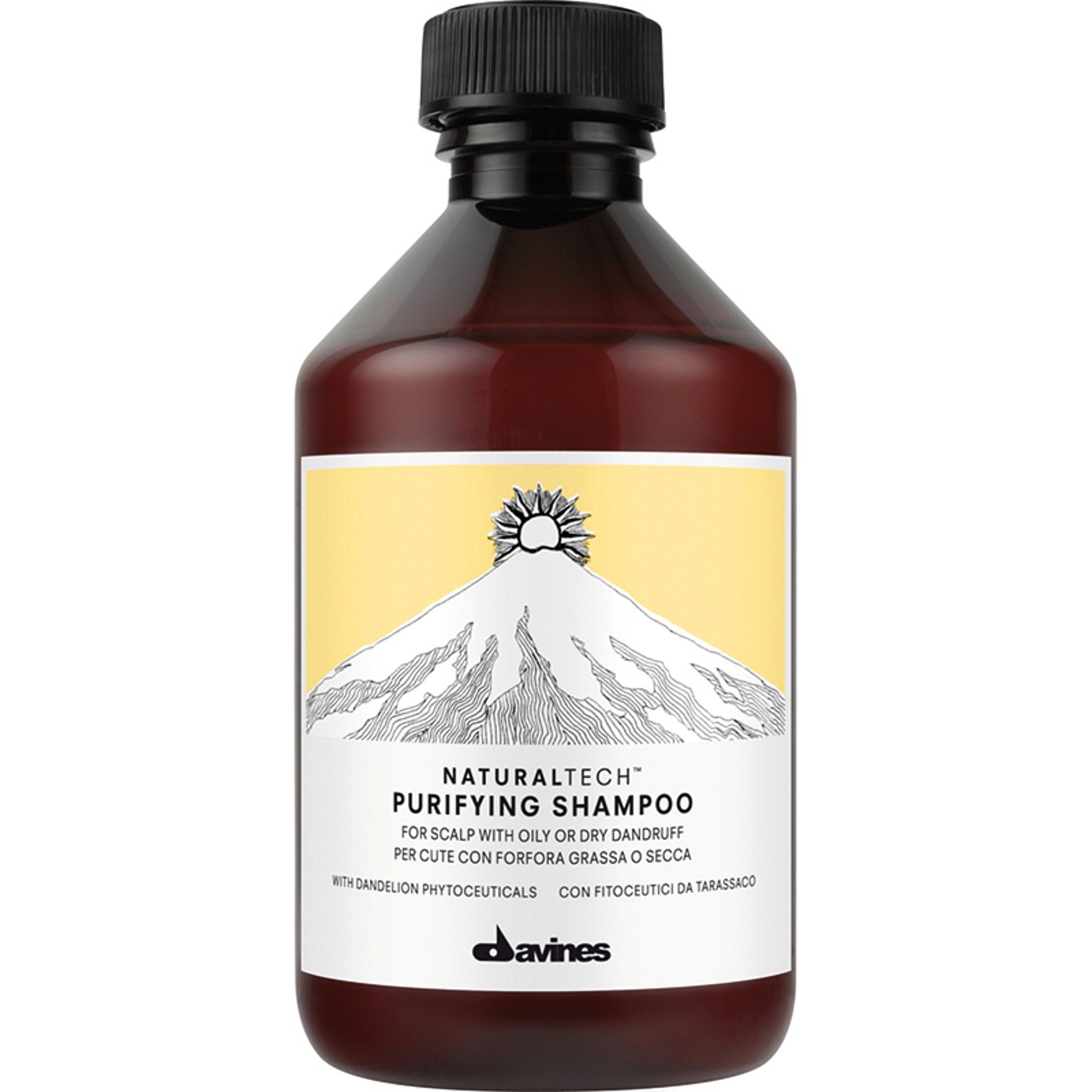 Naturaltech Purifying Shampoo