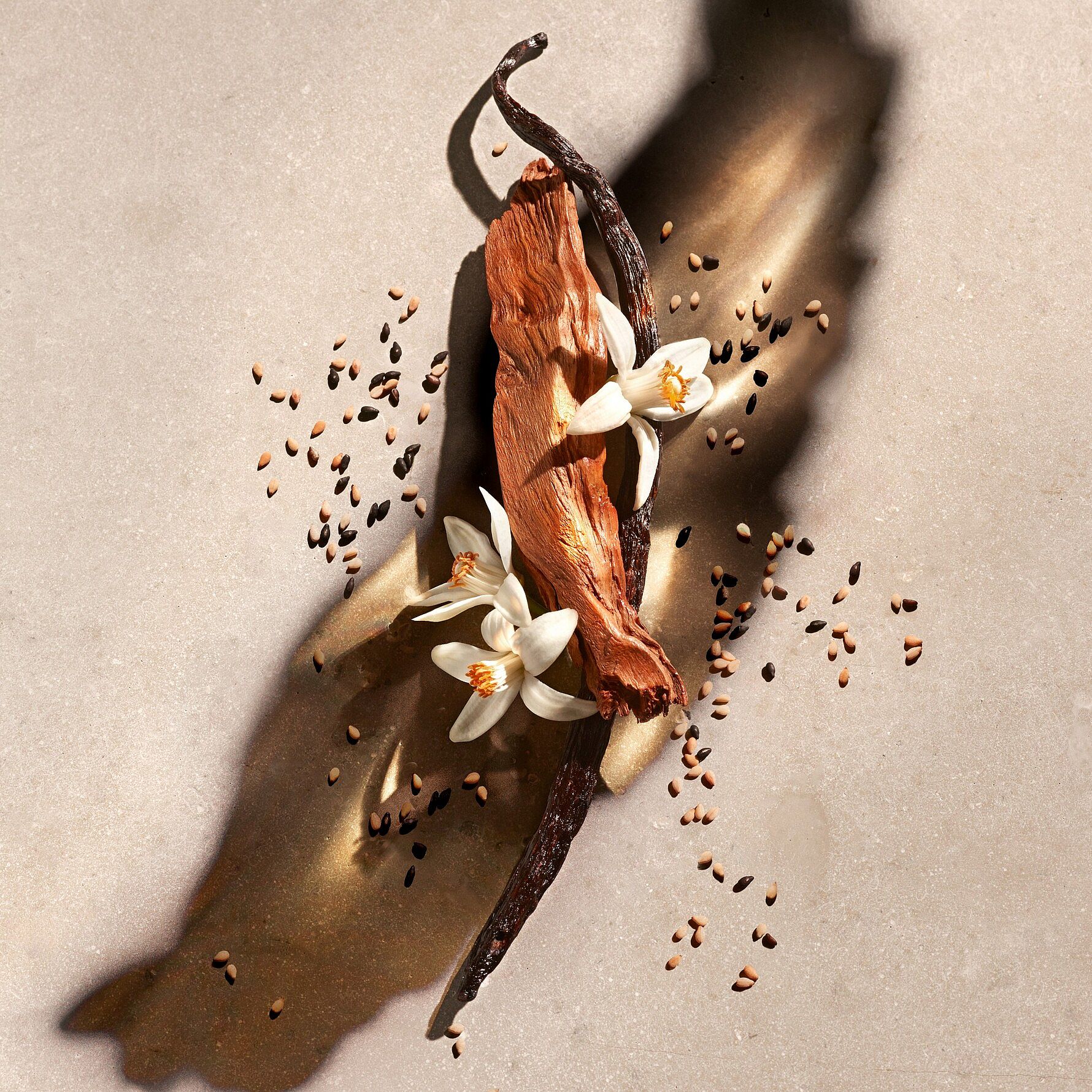 Zadig EdP 50 ml Gift Box