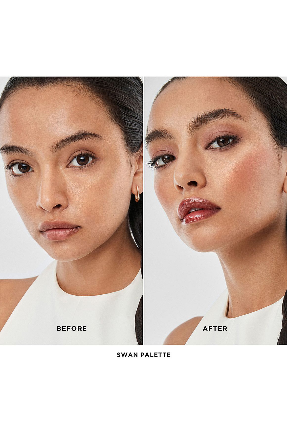 Ambient Lighting Edit Unlocked Swan