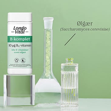 Køb B-Vitamin - B-komplet, Alle B-vitaminer + Ølgær 180 Stk Fra Longo ...