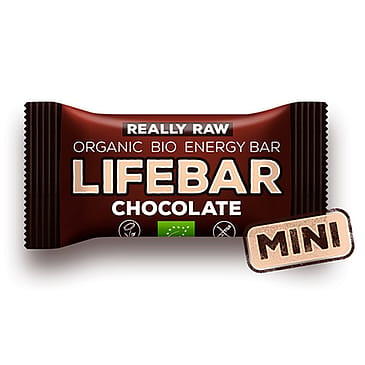 NatureSource LifeBar Mini Raw Chocolate Raw Ø 25 g