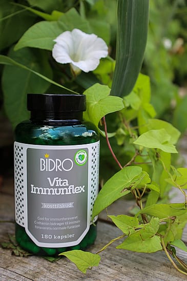 Bidro Vita Immunflex 180 kaps