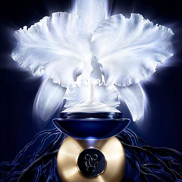 GUERLAIN Orchidee Imperiale Day Cream 50 ml