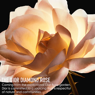DIOR Prestige La Micro-Huile de Rose Advanced Serum 15 ml