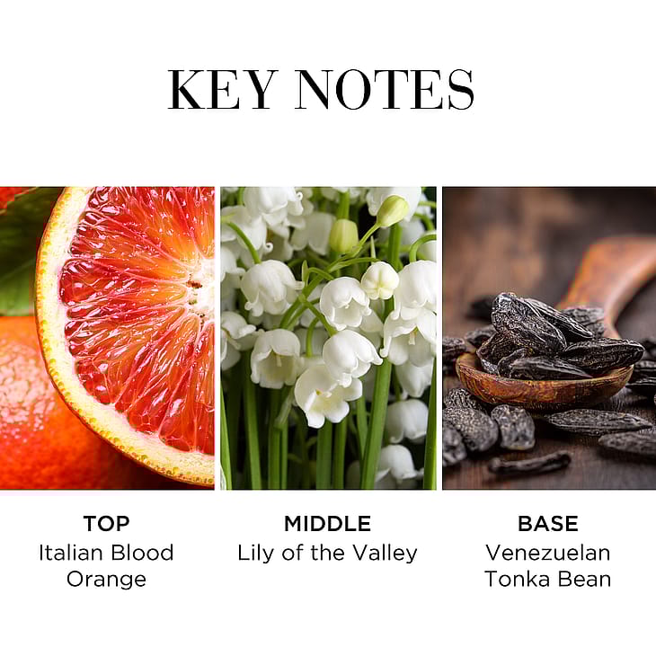 Køb White Tea Eau Fraiche Eau de Toilette 50 ml fra Elizabeth Arden Matas