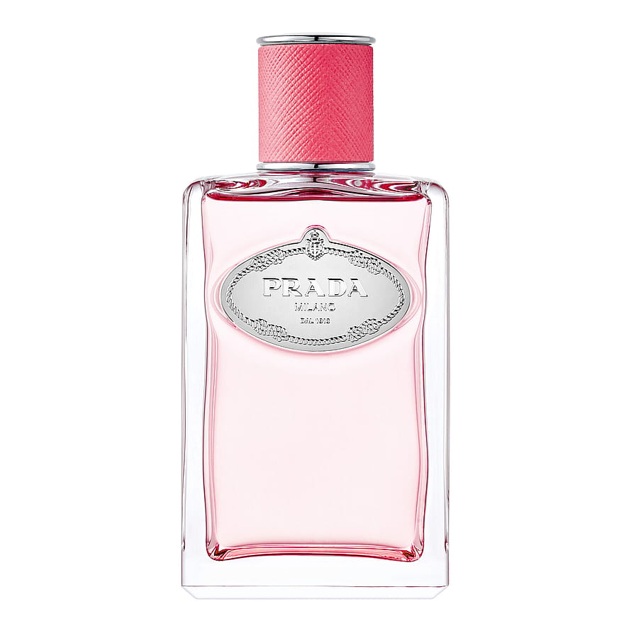 Infusion Rhubarbe 100 ml