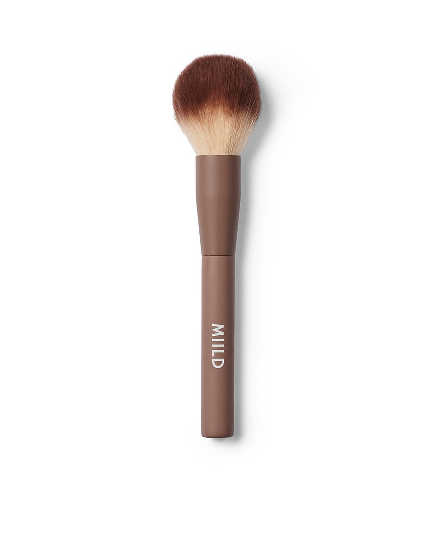 Soft Finishing Powder Brush 01