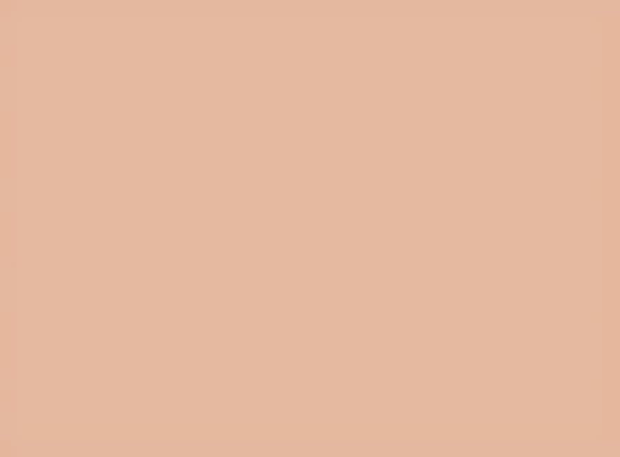 Conceal + Perfect Long-Wear Concealer Light Beige